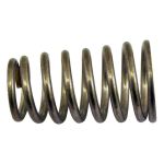 Spring - MPN Tp1007/N Instanta