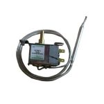 Thermostat For G619 G211 Cb507 Dp288 (R600A) - MPN Ag078 Polar