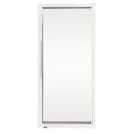 Complete Glass Door Right For Ge580 - MPN Ak870 Polar
