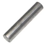 Polar Lower Door Shaft Pin For GC889 - AK928