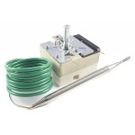 Thermostat - MPN N432 Buffalo